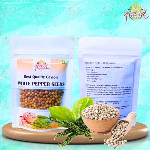 White Pepper Seeds Piper Nigrum