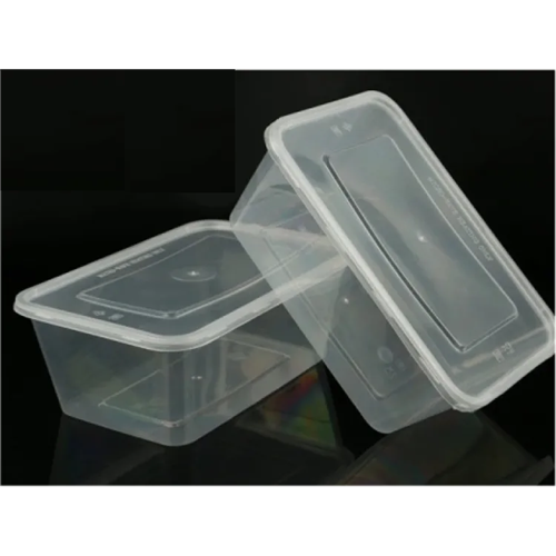 10 Pcs Disposable Food Storage Box