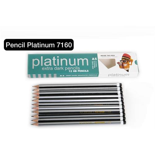 12 Pcs Pencil Platinum Set