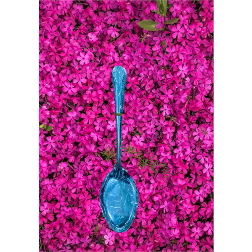 12 Pcs Table Spoon (C.30)