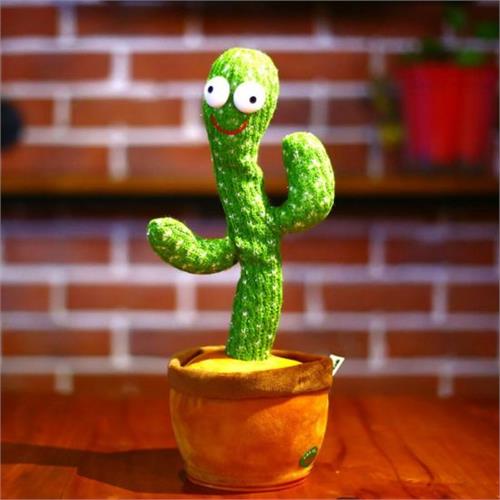 Dancing Cactus