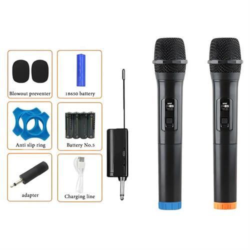 Dual Wireless Microphone Set