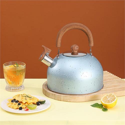 Wooden Handle Stainless Steel Kettle - 2.L