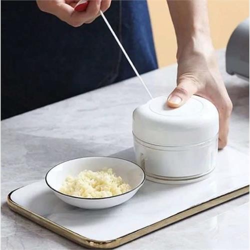 Mini Garlic Crusher Press