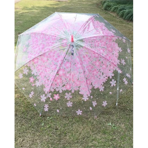 Transparent Kids Umbrella