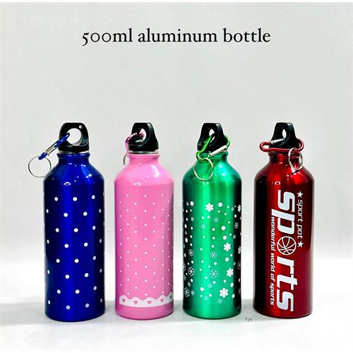 Aluminum Sports Water Bottle (500ml)