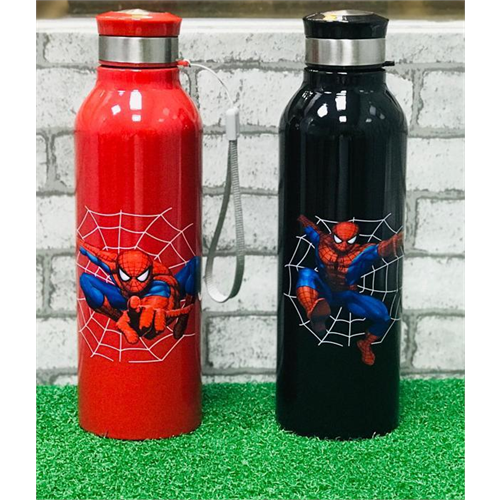 Spider Stainless Steel Kids Water Bottle (750ml)