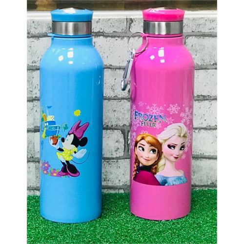 Disney Stainless Steel Kids Water Bottle (750ml)