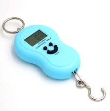 Luggage Scale