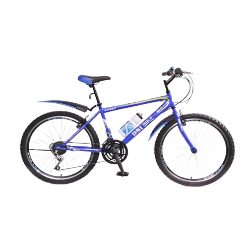 DSI 21-SP Mountain Bike - 24 inch (Blue)