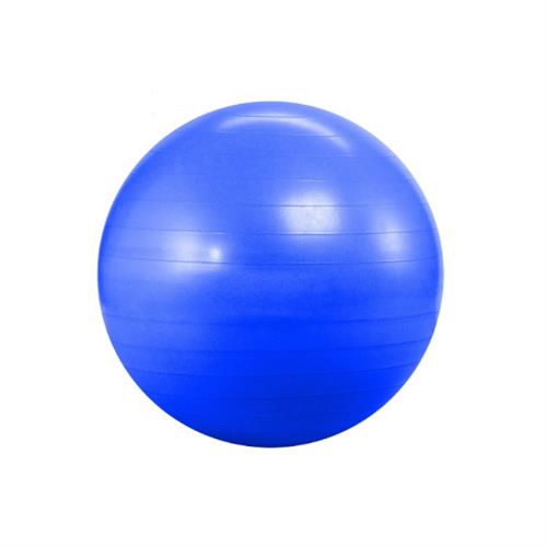 Gym Ball - 65cm