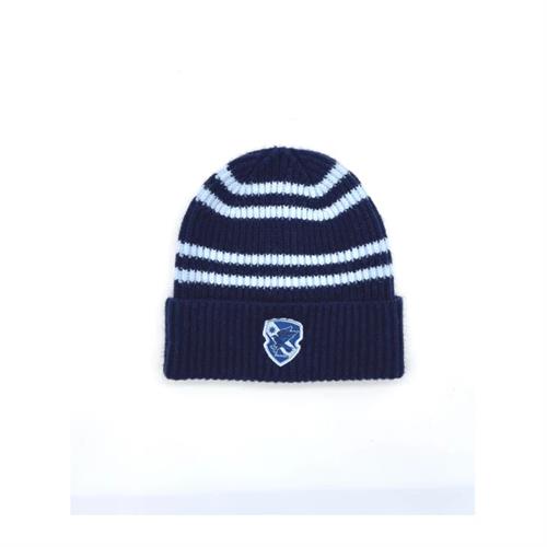 MINISO Harry Potter School Striped Knitted Hat - Blue