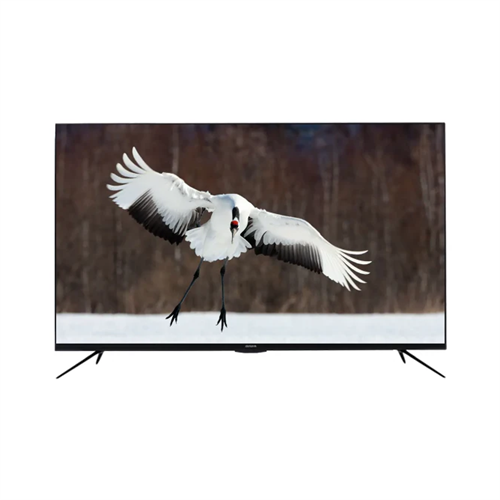 Aiwa 55 inch UHD Smart WebOS 4K LED TV (WS-558H)