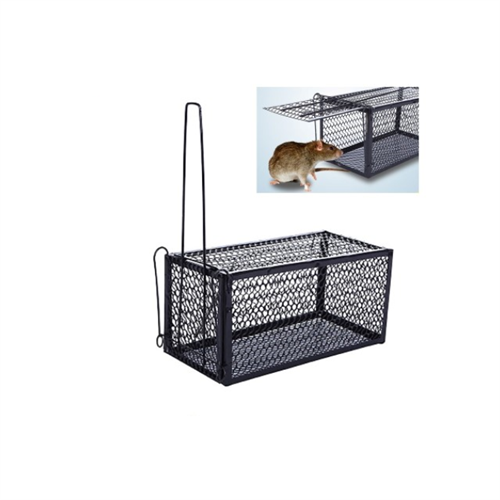 Mouse Trap Cage