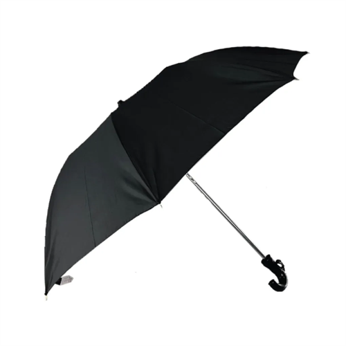 Rainco 2 Fold Ritual Umbrella - Black