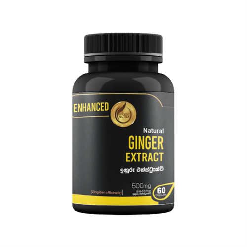 Ancient Nutra Ginger Extract - 60 Capsules