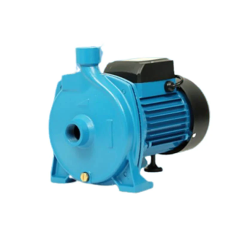 REGNIS Water Pump - 0.75HP (WP-REG-075-S)