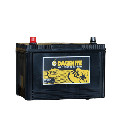 Dagenite MF65D31R (1 Year Full Warranty)