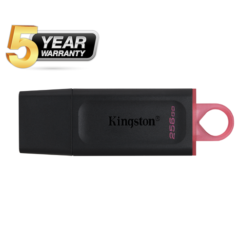 Kingston DTX 3.2 256GB USB Drive - DTX/256