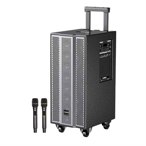 Malata Multifunctional Speaker with 5000W Power and Dual 10