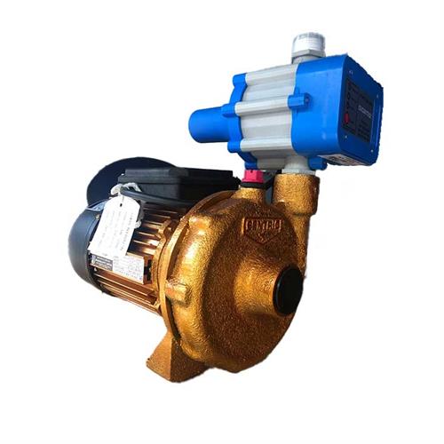 Jinasena Centric Type Water Pumping Unit - 0.75HP CJ030S JEM 0.75-2-1 EPC N110T/1N