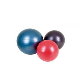 Quantum Fitness Gym Ball 65cm - Blue