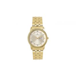 TITAN Champagne Dial Golden Stainless Steel Strap Watch - 1774YM01