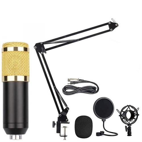 Mic Kit Condenser Microphone Bundle Singing Sound Card