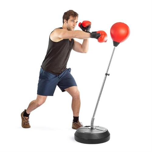 Boxing Punching Ball