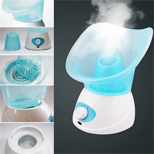 Benice Facial Steamer