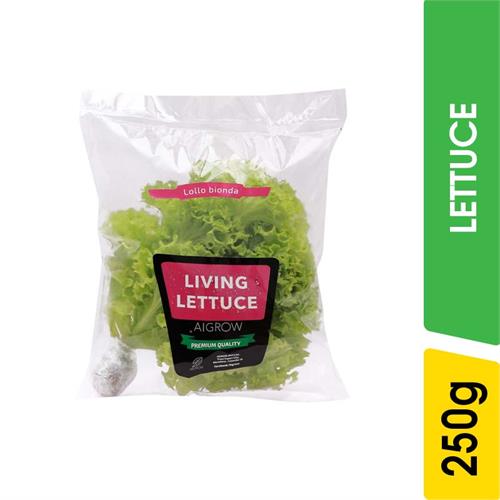 Aigrow Lollo Bionda Lettuce - 250.00 g