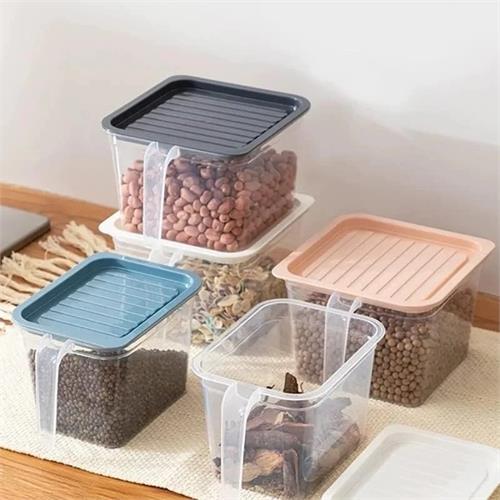 Food Storage Box With Handle