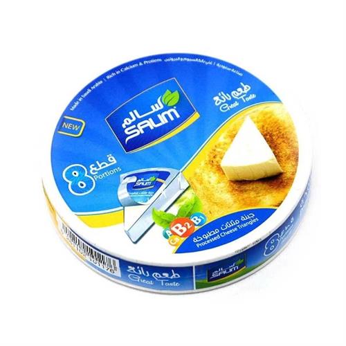 Salim Cheese Wedges Triangles 120g