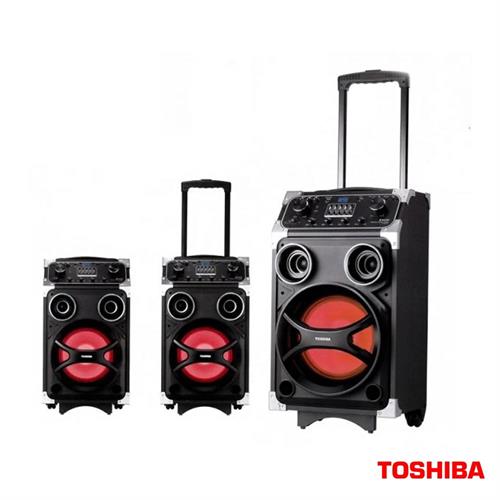 Toshiba Portable Sound System TY-ASC150