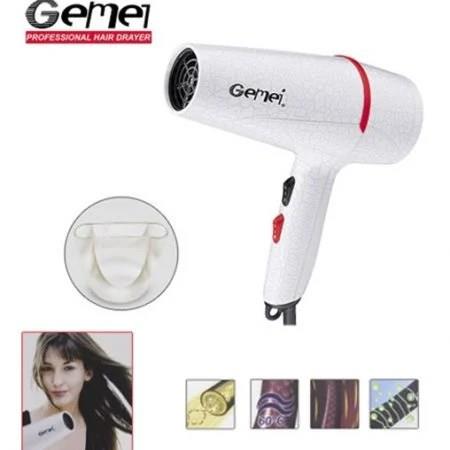 Gemei Professional Hair Dryer (GM-1738)