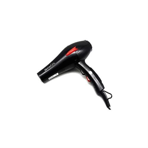 Gemei Professional Hair Dryer GM-1706