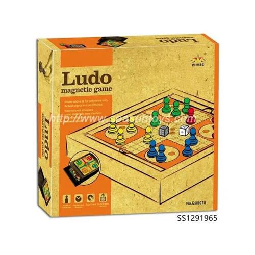 Magnetic Ludo Board