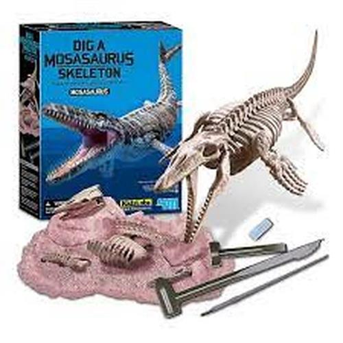 4M dig a mosasaurus skeleton