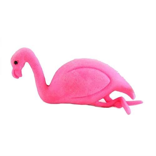 Growing Pet Flamingo Egg