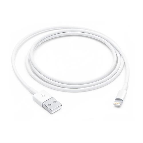 Apple Lightning to USB 1M Cable