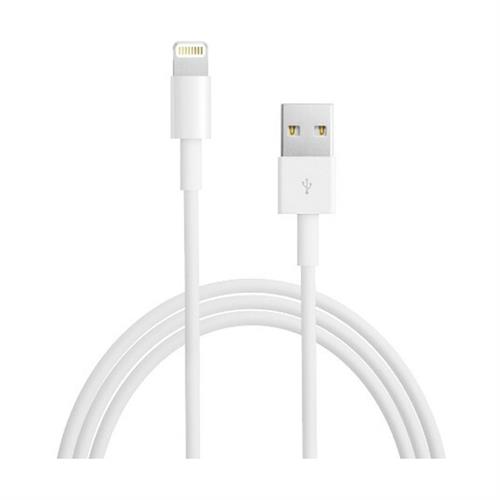 Apple Lightning to USB Cable