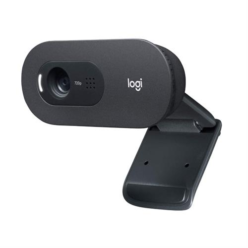 Logitech C505 HD Webcam