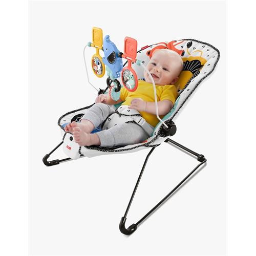 FISHER-PRICE BABYS BOUNCER