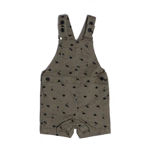 Ozone Baby Boys Casual Dungaree