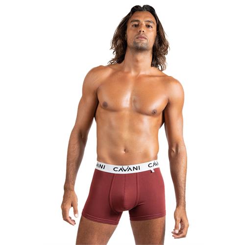 Cavani Mens Boxer Trunk Underwear