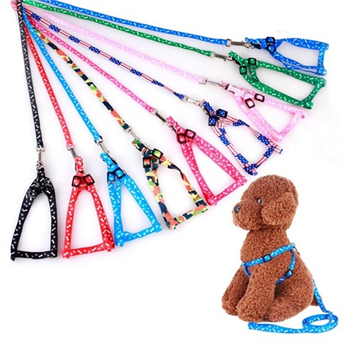 Pet Dog Puppy Cat Kitty Nylon Harness Leash Lead Embroidery