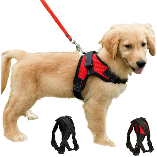 Dog Harness (small) for puppies