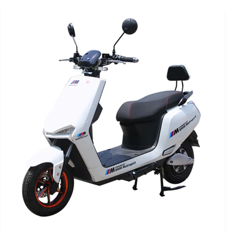 ELECTRIC BIKE BWM SPORT