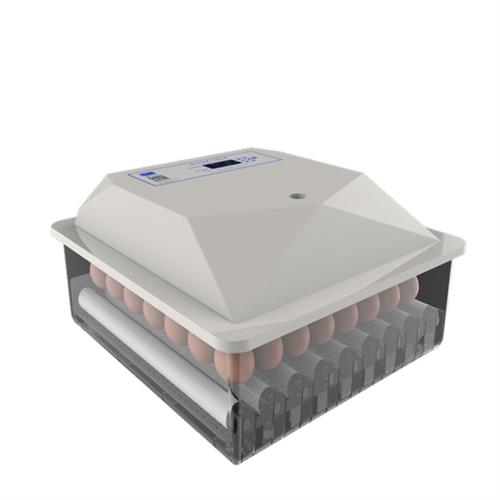 56 Eggs Incubator Fully Automatic