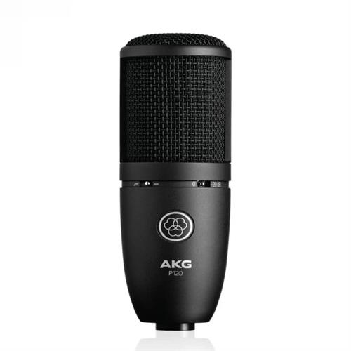 AKG High-Performance General Purpose Recording Microphone P120